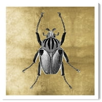 Wynwood Studio Animals Wall Art Canvas ispisuje insekti 'Insecte Gold' - crno, zlato