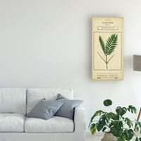 Zaštitni znak likovna umjetnost 'Linnaean Botany IV' Canvas Art by Vision Studio