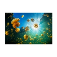 Barathieu gabriel 'sunčeva svjetlost i meduze' platno umjetnost