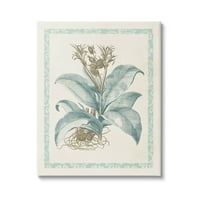 Stupell Industries detaljno opisana grafička umjetnička galerija cvijeta divljih biljaka zamotana platna za tisak zidne umjetnosti,