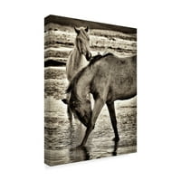 Zaštitni znak likovna umjetnost 'plaža konja ja' platno umjetnost Davida Drosta