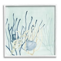 Višeslojne morske školjke, koralji, podvodne životinje i insekti, grafika u bijelom okviru, zidni tisak
