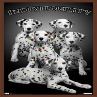 Keith Kimberlin-Dalmatinski štenci u boji-prilagođeni zidni poster, 22.375 34