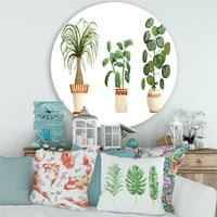 Dizajnerska umjetnost Trio sobnih biljaka-Ficus, rep i Palma Tradicionalni kružni metalni zidni umjetnički disk od 29