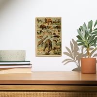 Sisavci, B, Vintage ekslibris, umjetničko djelo Adolphe Millau, zidni natpis od breze